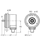 REI-E-113T12S-2B2500-H1181