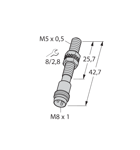Bi1-EG05-Y1-V1331