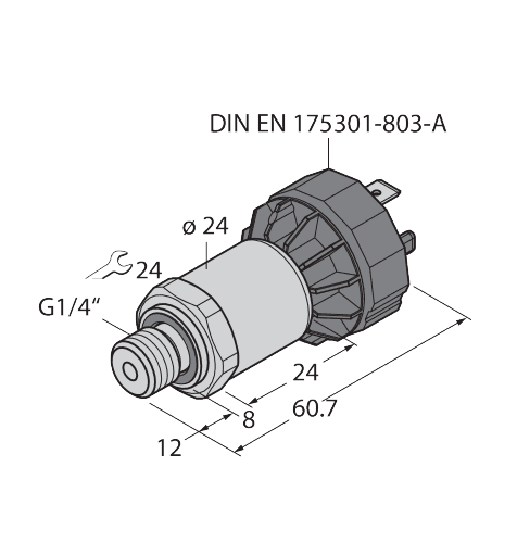 PT25R-1004-IX-DA91